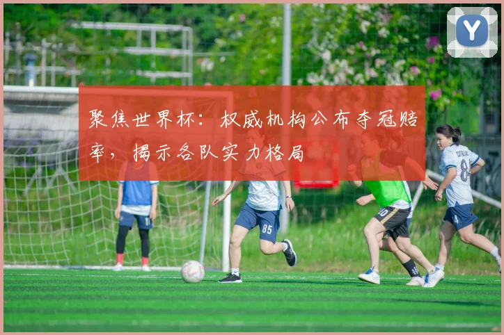 聚焦世界杯：权威机构公布夺冠赔率，揭示各队实力格局