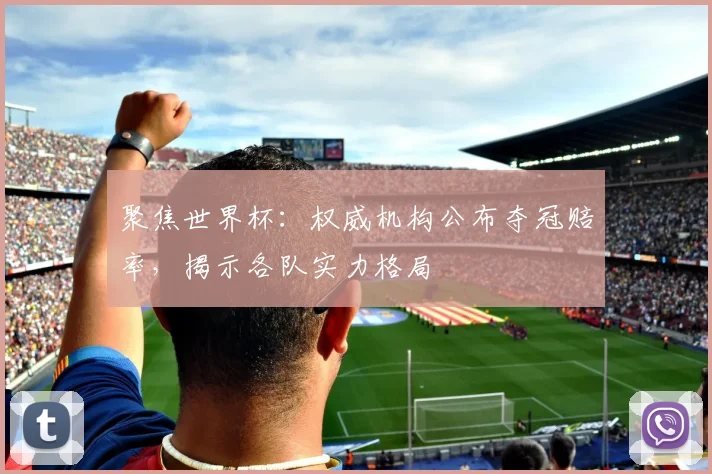 聚焦世界杯：权威机构公布夺冠赔率，揭示各队实力格局