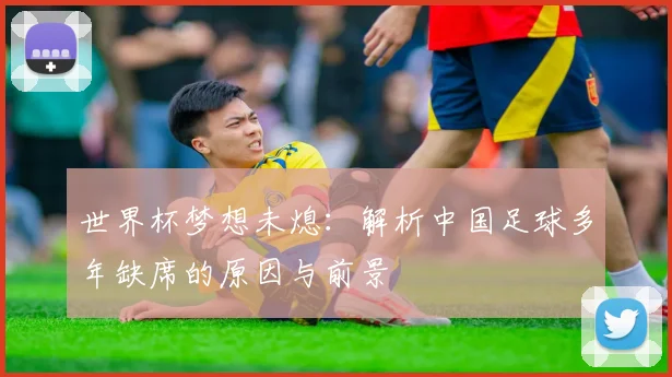 世界杯梦想未熄：解析中国足球多年缺席的原因与前景